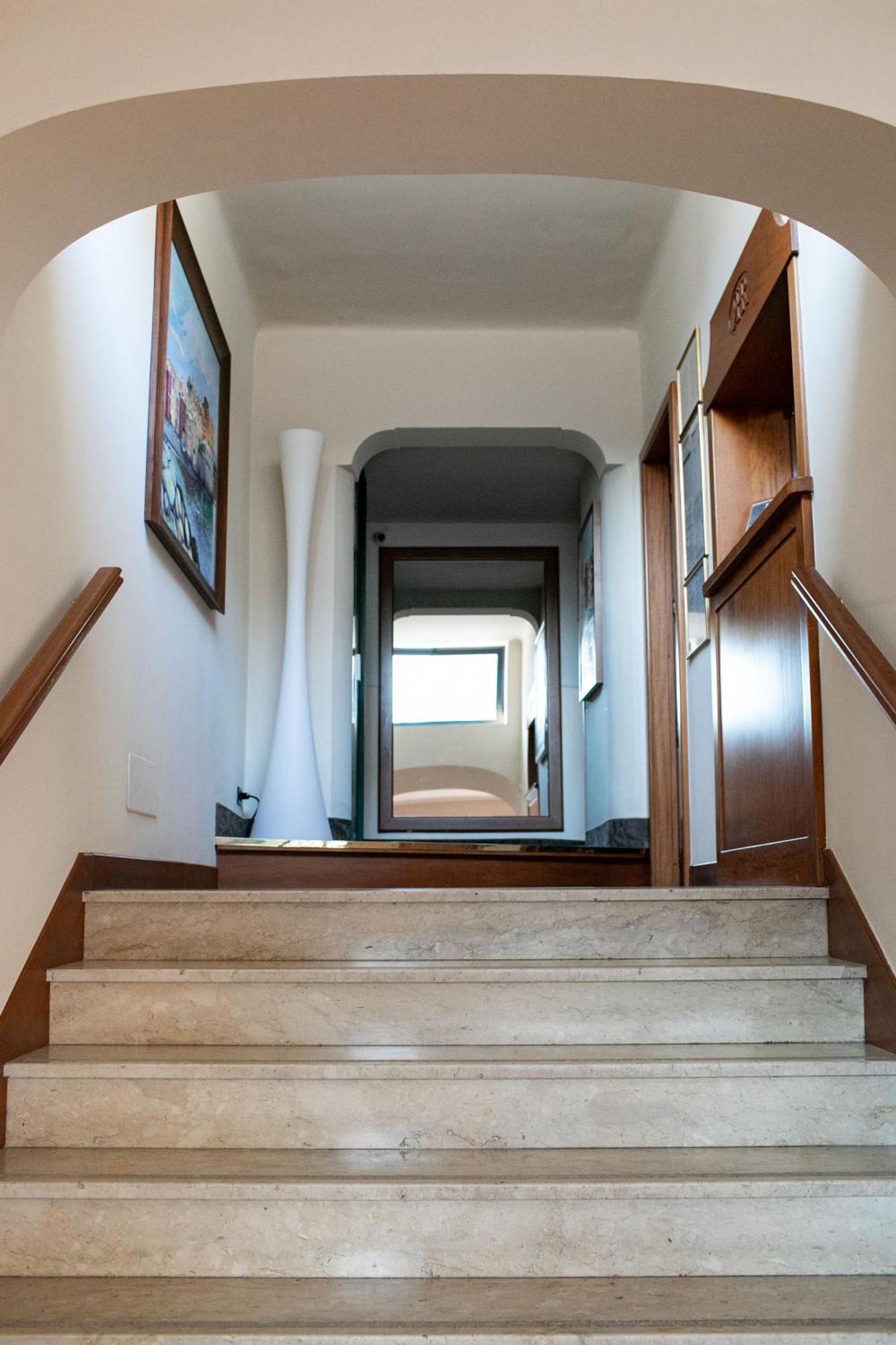 Rex Aparthotel 3*